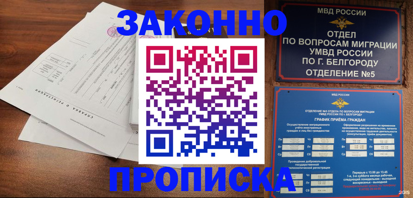 прописка в Железногорск-Илимском